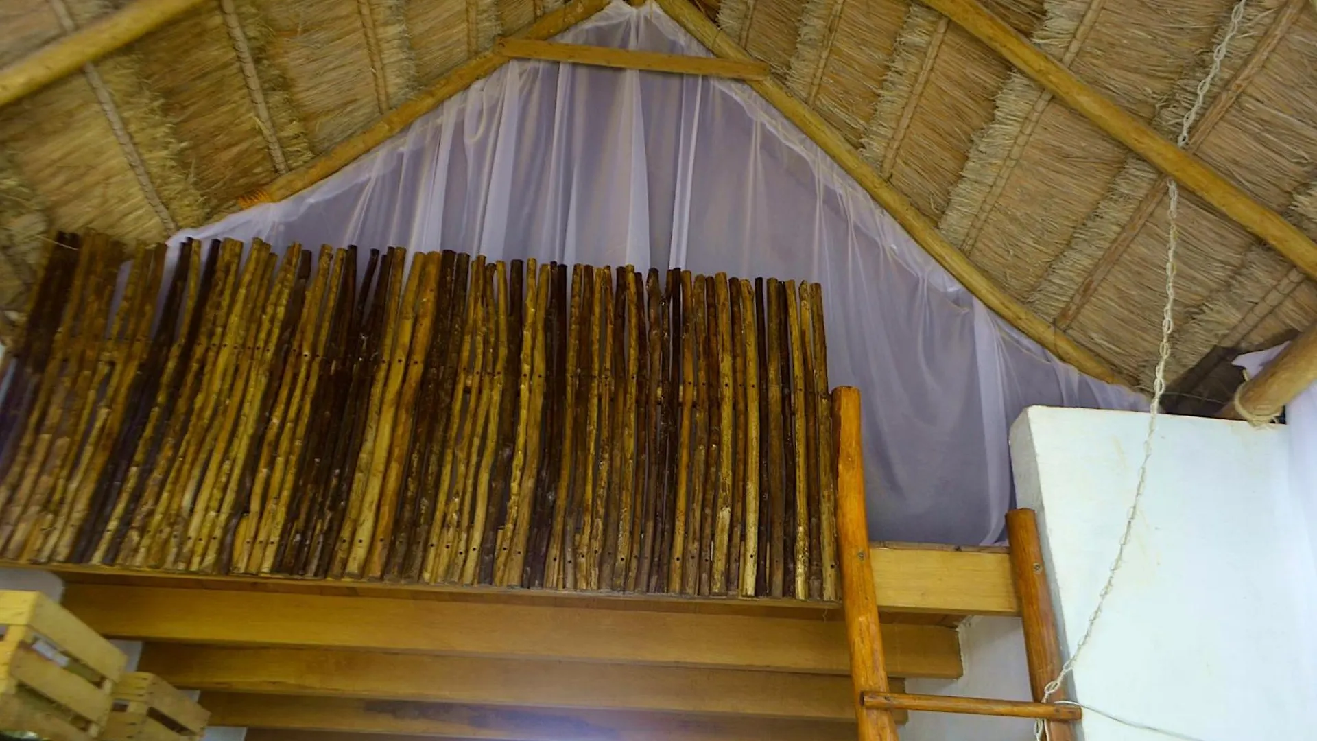 Homestay Wholeness Earthing Clubhouse Apartment Playa del Carmen Mexico