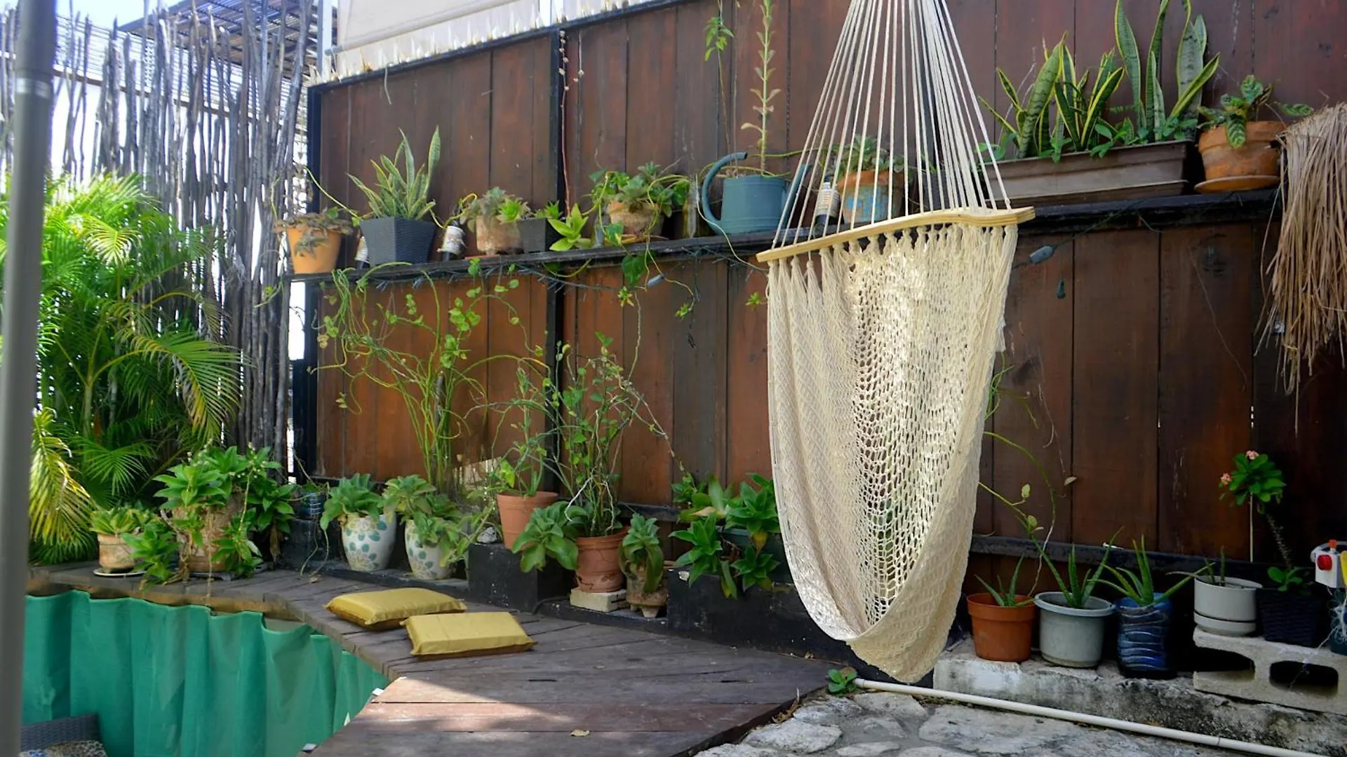 Homestay Wholeness Earthing Clubhouse Apartment Playa del Carmen