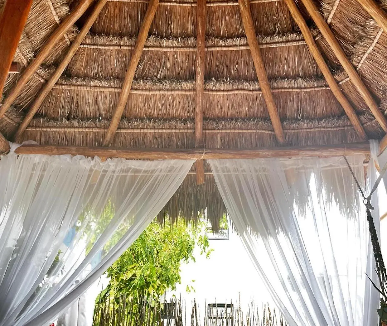 Wholeness Earthing Clubhouse Apartment Playa del Carmen