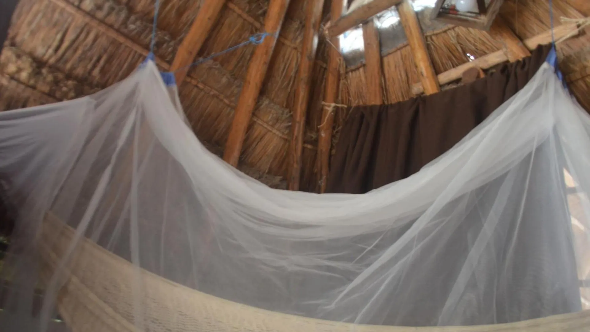 Wholeness Earthing Clubhouse Apartment Playa del Carmen Homestay
