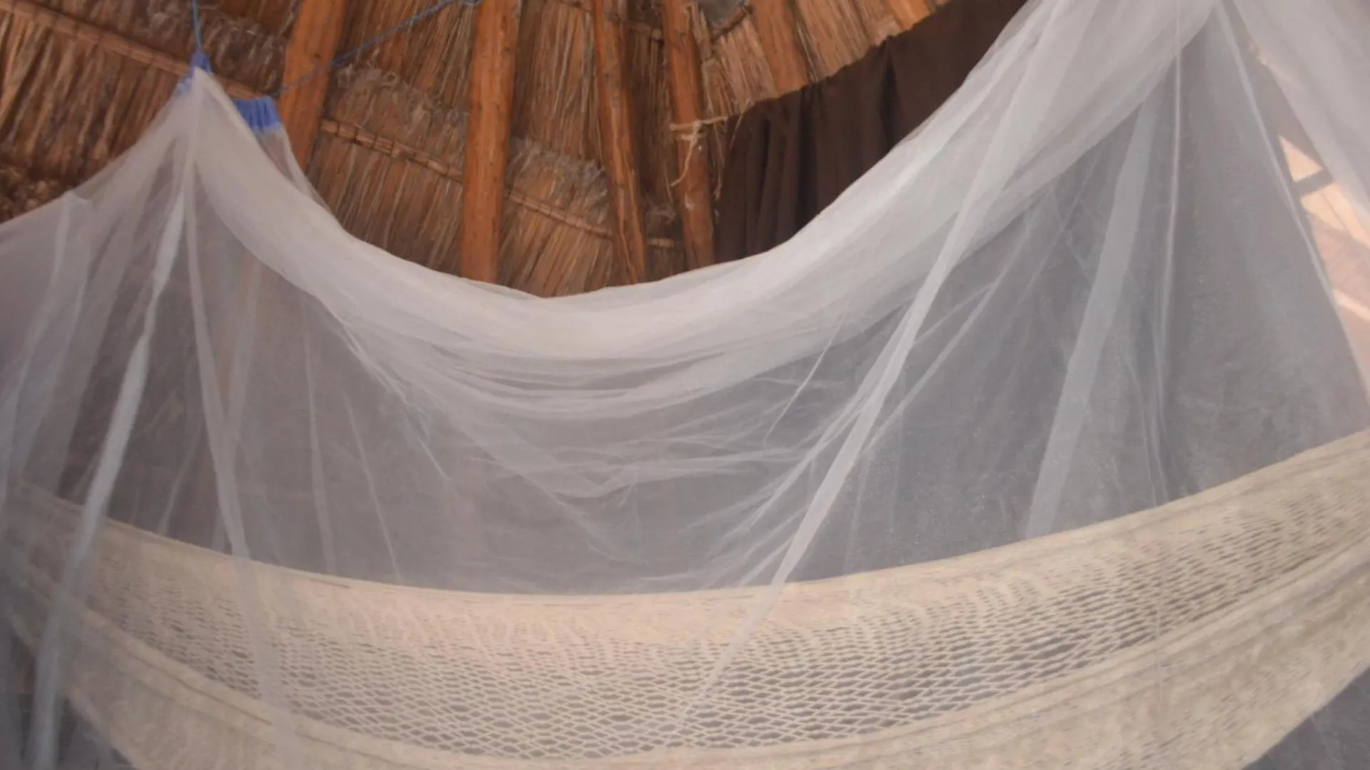 Wholeness Earthing Clubhouse Appartement Playa del Carmen Mexico